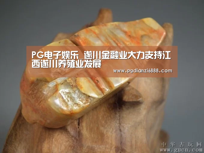 PG电子娱乐_遂川金融业大力支持江西遂川养殖业发展(图2) PG麻将在线玩