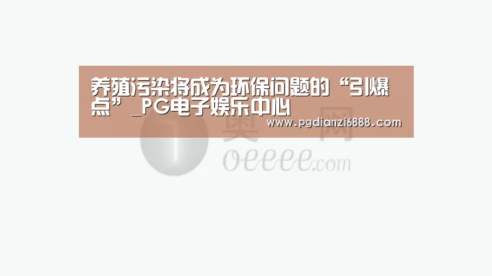 PG官方网站
