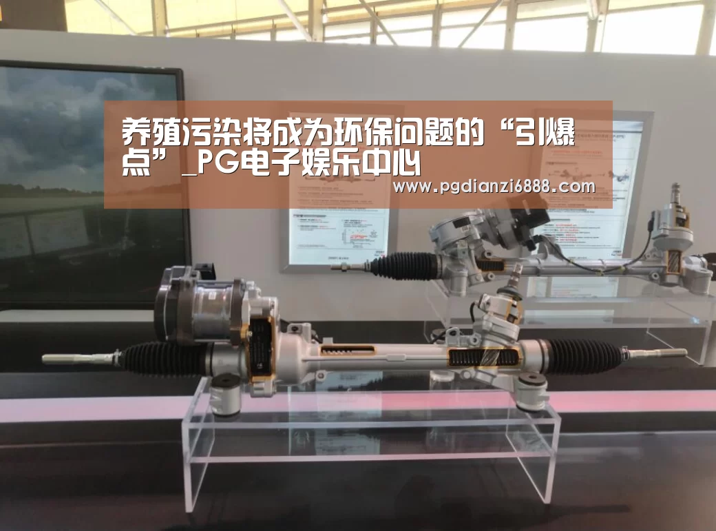 PG电子娱乐中心