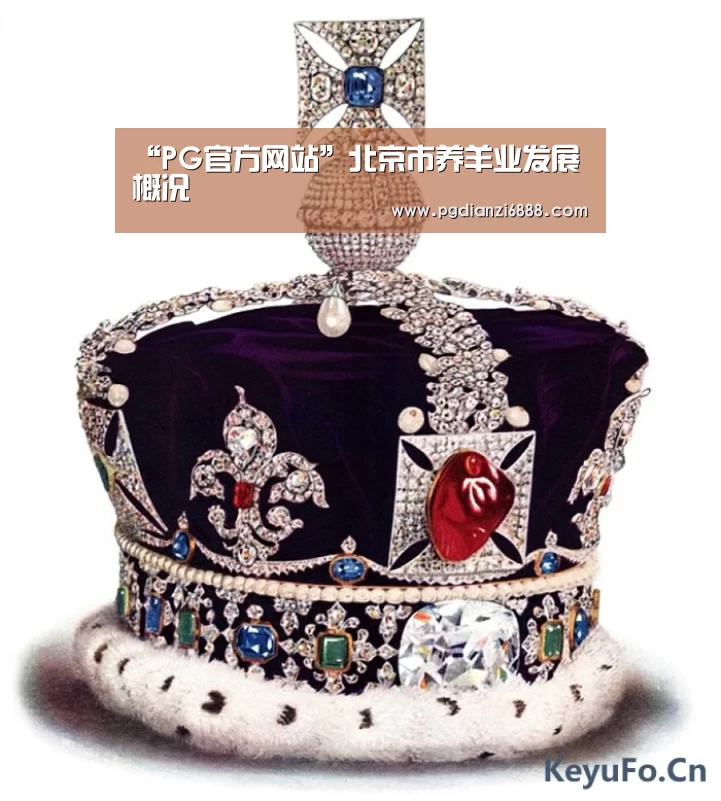 PG电子娱乐中心