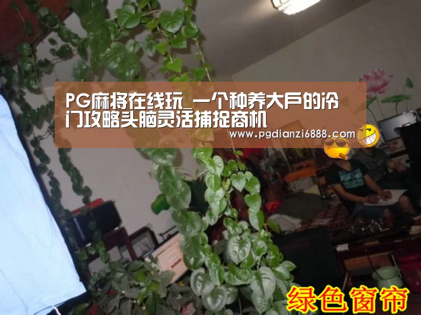 PG官方网站