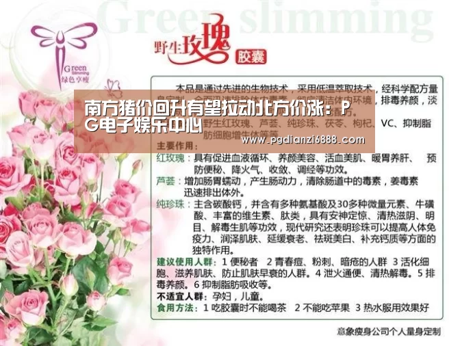 PG麻将在线玩