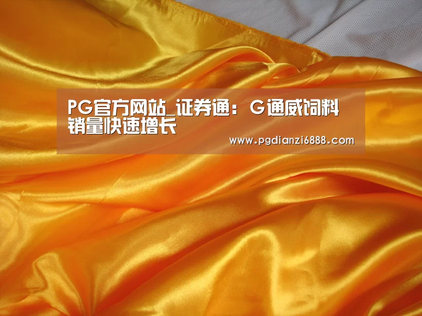 PG电子娱乐中心