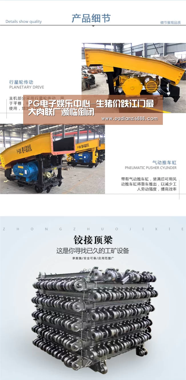 PG电子娱乐中心-生猪价跌江门最大肉联厂濒临倒闭(图3) PG官方网站