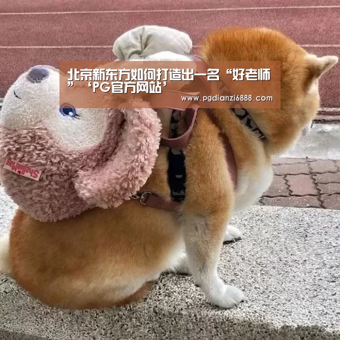 PG官方网站