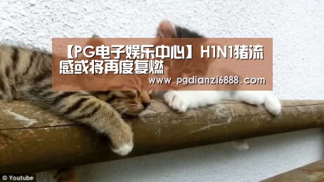 【PG电子娱乐中心】H1N1猪流感或将再度复燃(图1) PG麻将在线玩