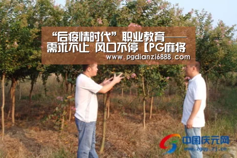 PG电子娱乐