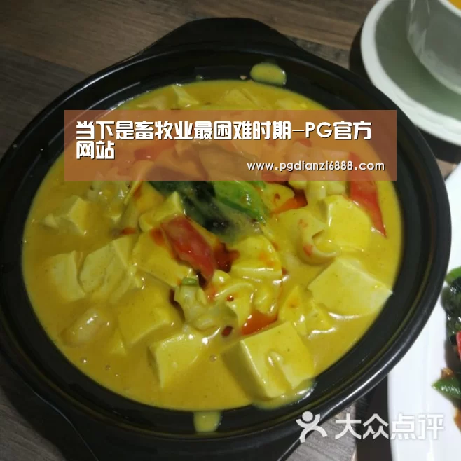 PG电子娱乐