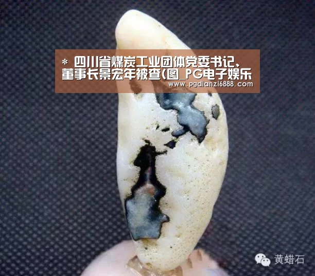 *
四川省煤炭工业团体党委书记、董事长景宏年被查(图_PG电子娱乐中心(图1) PG电子娱乐中心