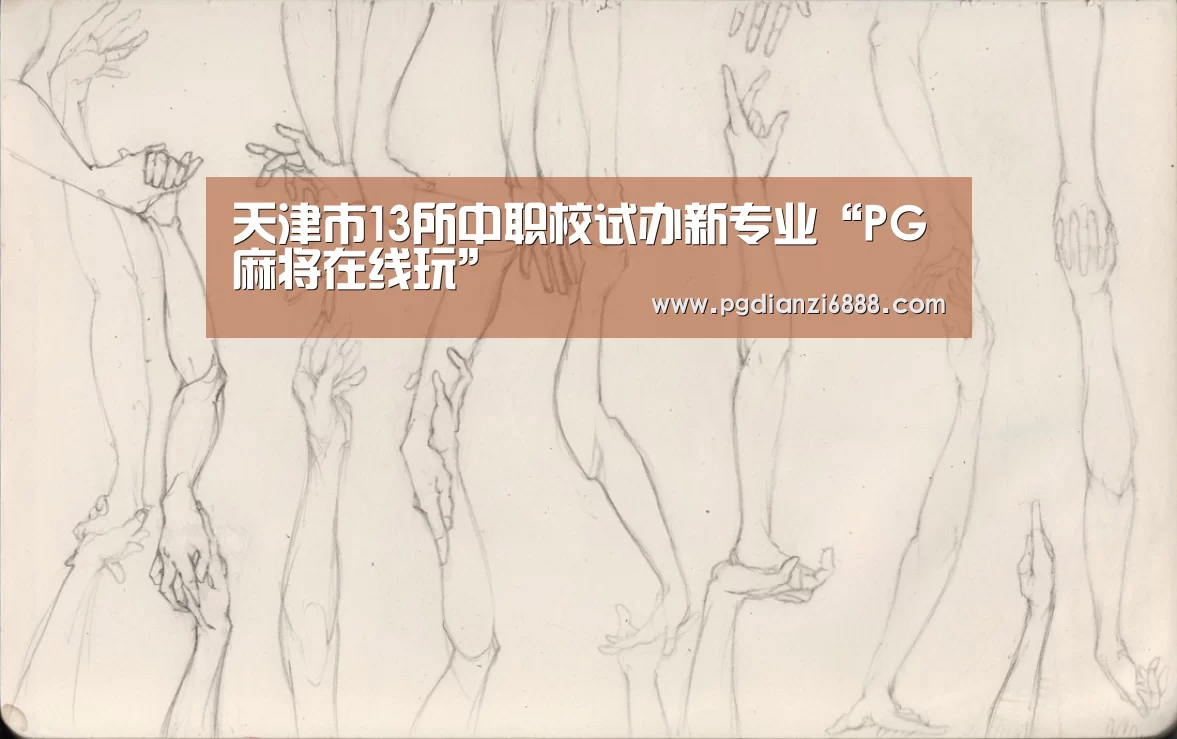 天津市13所中职校试办新专业“PG麻将在线玩”(图2) PG电子娱乐中心