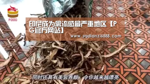 印尼成为禽流感最严重地区【PG官方网站】(图2) PG麻将在线玩