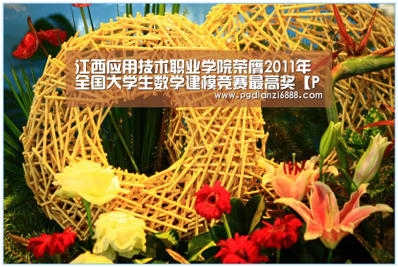 江西应用技术职业学院荣膺2011年全国大学生数学建模竞赛最高奖【PG电子娱乐】(图2) PG电子娱乐中心